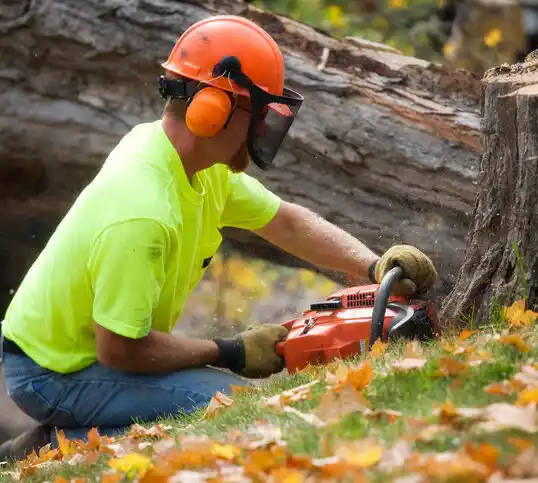 tree services West Marion